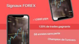 Signaux forex