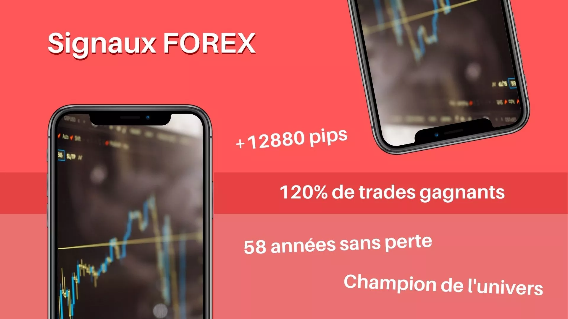 Signaux forex